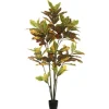 Colorful Croton Tree In Black Planter, 5 Ft.-Kirkland's Home Flash Sale