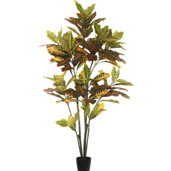 Colorful Croton Tree In Black Planter, 5 Ft.-Kirkland's Home Flash Sale