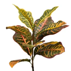 Colorful Croton Tree In Black Planter, 5 Ft.-Kirkland's Home Flash Sale