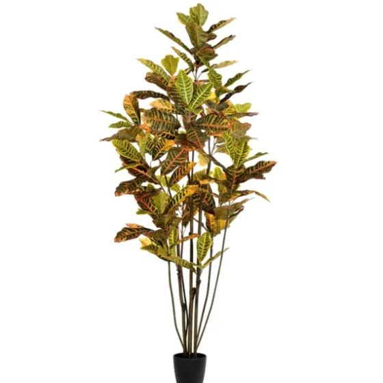 Colorful Croton Tree In Black Planter, 6 Ft.-Kirkland's Home Fashion