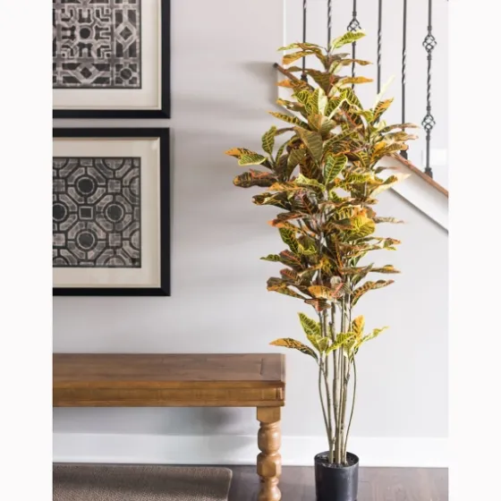 Colorful Croton Tree In Black Planter, 6 Ft.-Kirkland's Home Fashion