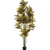 Colorful Croton Tree In Black Planter, 7 Ft.-Kirkland's Home Outlet