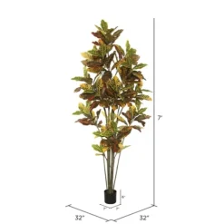 Colorful Croton Tree In Black Planter, 7 Ft.-Kirkland's Home Outlet
