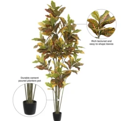 Colorful Croton Tree In Black Planter, 7 Ft.-Kirkland's Home Outlet