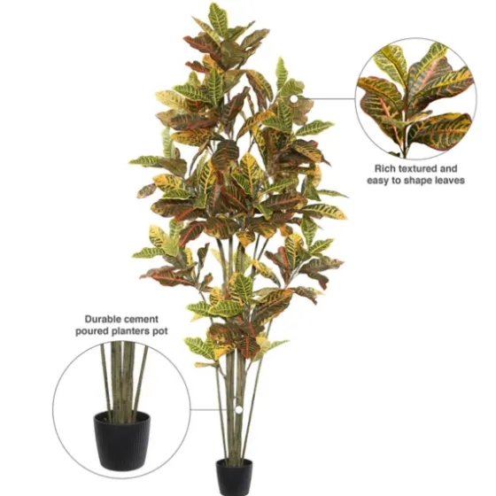 Colorful Croton Tree In Black Planter, 7 Ft.-Kirkland's Home Outlet