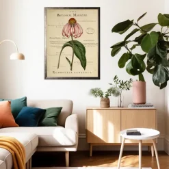 Coneflower Botanical Magazine Framed Art Print-Kirkland's Home Sale