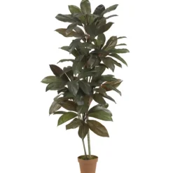 Cordyline Plant In Terracotta Planter-Kirkland's Home Cheap