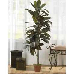 Cordyline Plant In Terracotta Planter-Kirkland's Home Cheap