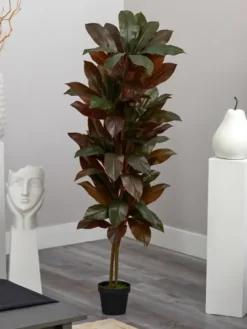 Cordyline Plant In Terracotta Planter-Kirkland's Home Cheap