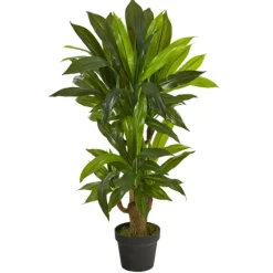 Corn Stalk Dracaena Plant In Black Planter-Kirkland's Home Best Sale