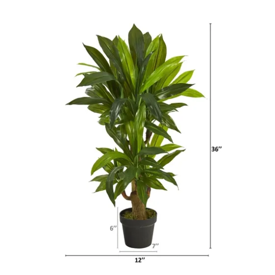 Corn Stalk Dracaena Plant In Black Planter-Kirkland's Home Best Sale