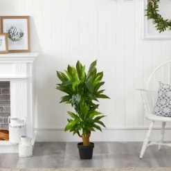 Corn Stalk Dracaena Plant In Black Planter-Kirkland's Home Best Sale