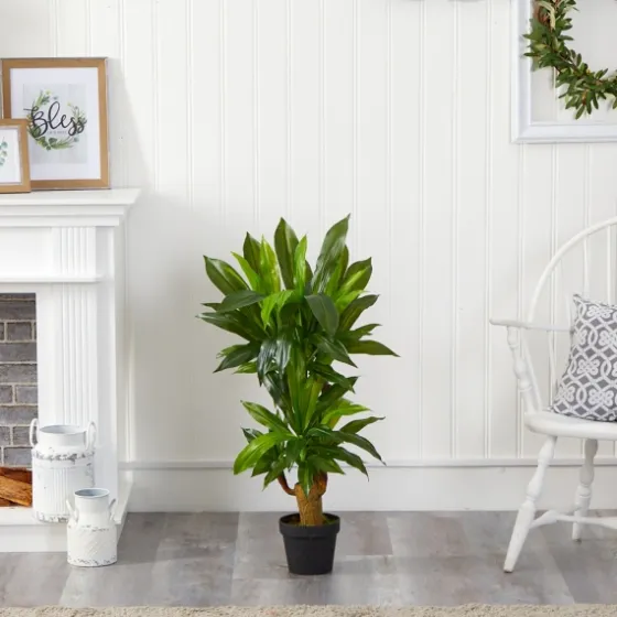 Corn Stalk Dracaena Plant In Black Planter-Kirkland's Home Best Sale