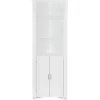 Corner Shelf With Cabinet Doors-Kirkland's Home Outlet