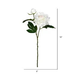 Cream Blooming Peony Stems, Set Of 6-Kirkland's Home Store