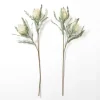 Cream Foam Protea Stem-Kirkland's Home Store