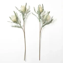 Cream Foam Protea Stem-Kirkland's Home Store