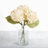 Cream Hydrangea Arrangement In Glass Vase-Kirkland's Home Best Sale