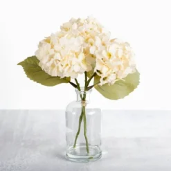 Cream Hydrangea Arrangement In Glass Vase-Kirkland's Home Best Sale