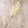 Cream Pampas Grass Stem-Kirkland's Home Shop