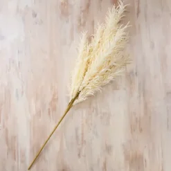 Cream Pampas Grass Stem-Kirkland's Home Shop