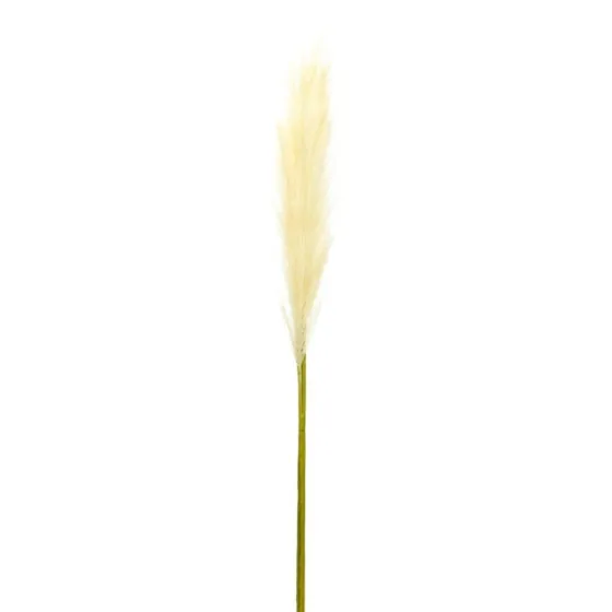 Cream Pampas Stems, Set Of 4-Kirkland's Home Online