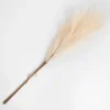 Cream 3-Pc. Pampas Grass Bundle, 38 In.-Kirkland's Home Hot