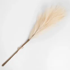 Cream 3-Pc. Pampas Grass Bundle, 38 In.-Kirkland's Home Hot