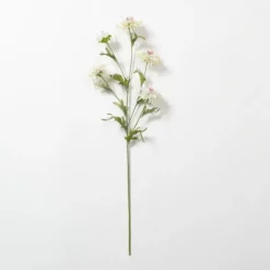 Cream Wild Daisy Stem-Kirkland's Home Sale