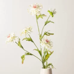Cream Wild Daisy Stem-Kirkland's Home Sale