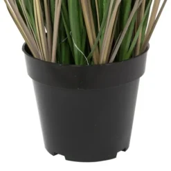 Curled Green Grass Potted Plant-Kirkland's Home Store