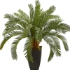 Cycas Floor Plant In Tall Black Planter, 30 In.-Kirkland's Home Sale