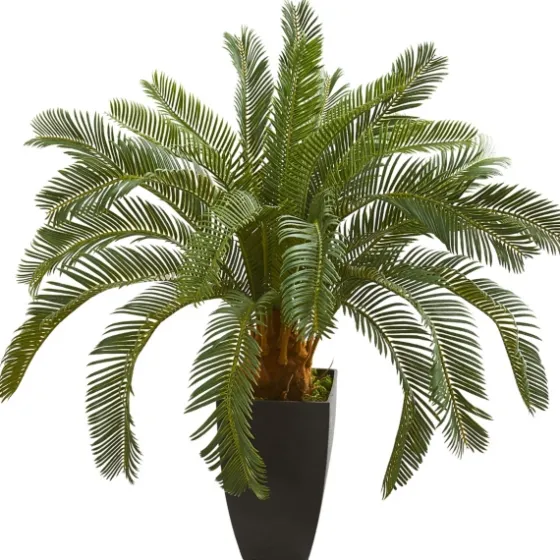 Cycas Floor Plant In Tall Black Planter, 30 In.-Kirkland's Home Sale