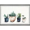 Deckled Succulent Row Framed Art Print-Kirkland's Home Best