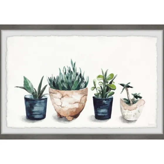 Deckled Succulent Row Framed Art Print-Kirkland's Home Best