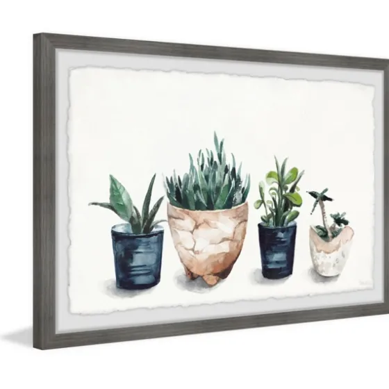 Deckled Succulent Row Framed Art Print-Kirkland's Home Best
