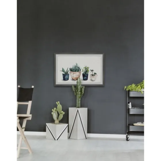 Deckled Succulent Row Framed Art Print-Kirkland's Home Best