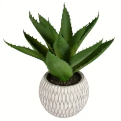 Deep Aloe Leaves In Ceramic Container-Kirkland's Home Store