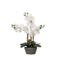 Desktop Orchid Arrangement In Gray Planter-Kirkland's Home Shop