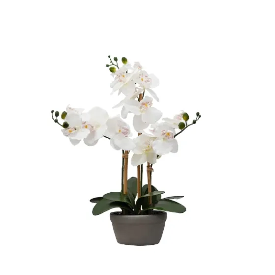 Desktop Orchid Arrangement In Gray Planter-Kirkland's Home Shop
