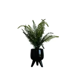 Desktop Palm Plant In Black Planter-Kirkland's Home Best