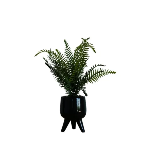 Desktop Palm Plant In Black Planter-Kirkland's Home Best