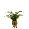 Desktop Palm Plant In Gold Planter-Kirkland's Home Online