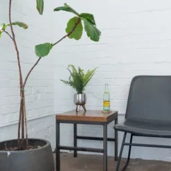 Desktop Palm Plant In Silver Planter-Kirkland's Home Clearance