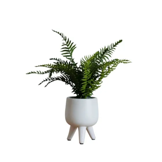 Desktop Palm Plant In White Planter-Kirkland's Home Outlet
