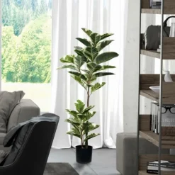 Dieffenbachia Tree In Black Planter-Kirkland's Home Sale