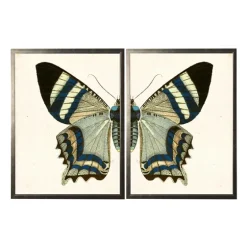 Diptych Butterfly Framed Art Print, Set Of 2-Kirkland's Home Hot