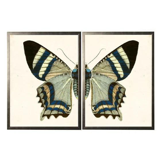 Diptych Butterfly Framed Art Print, Set Of 2-Kirkland's Home Hot