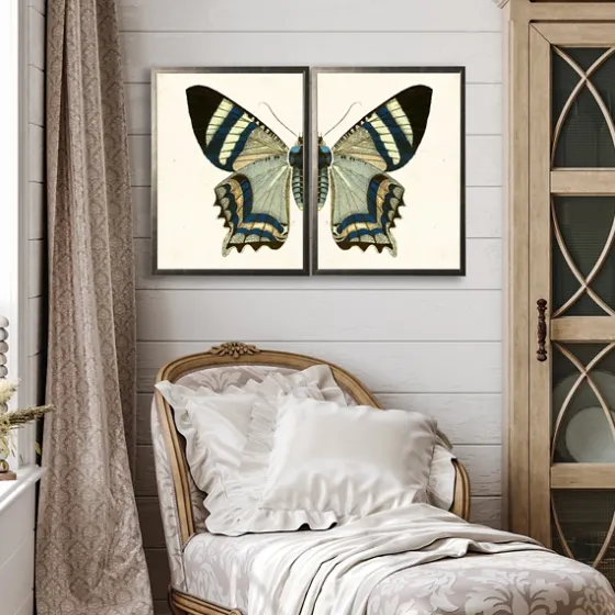 Diptych Butterfly Framed Art Print, Set Of 2-Kirkland's Home Hot