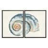 Diptych Shell Framed Art Print, Set Of 2-Kirkland's Home Fashion
